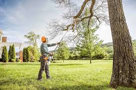 Best Tree Maintenance Programs  in Silver Bay, MN